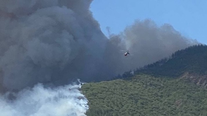 У турецькому Мармарисі з готелів евакуюють туристів через лісову пожежу